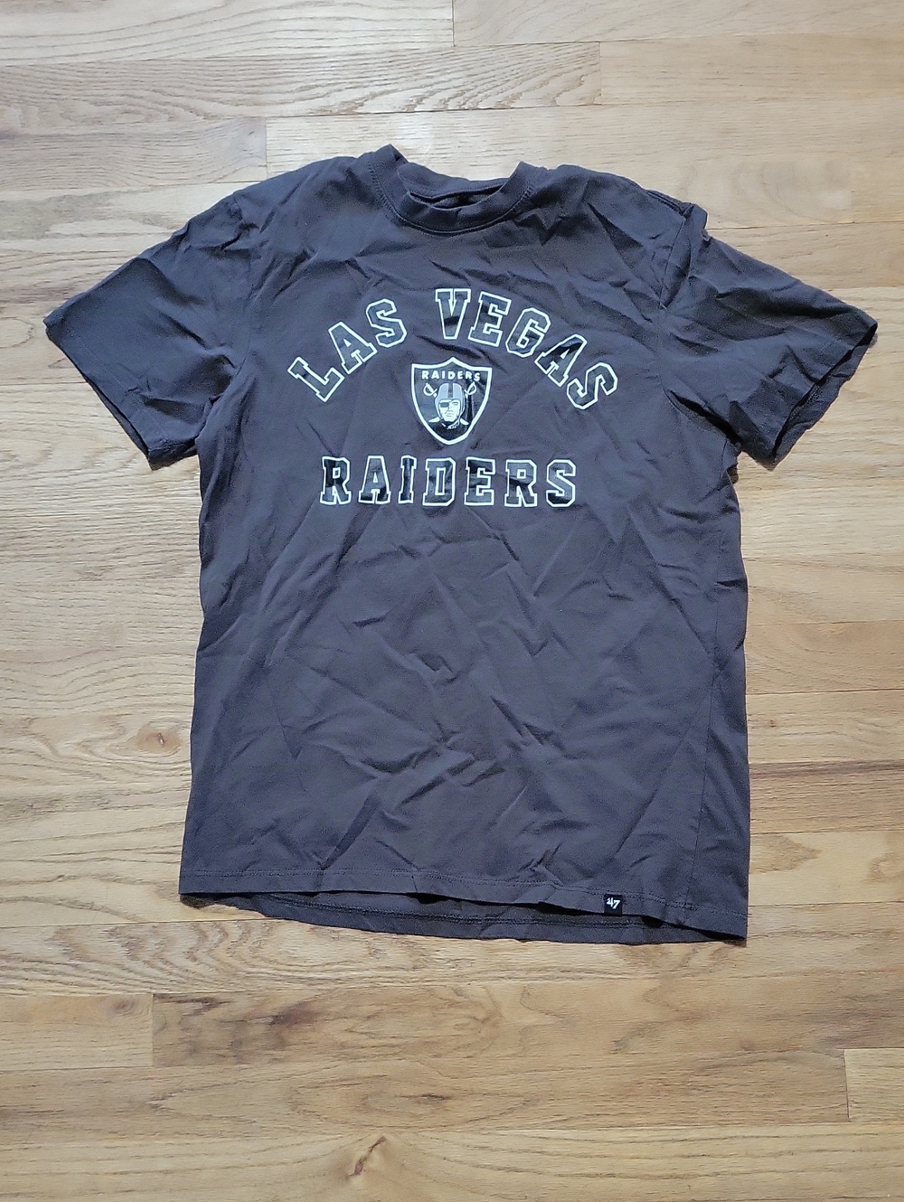 Las Vegas Sz S Raiders Men's Gray Team Logo T-Shirt
